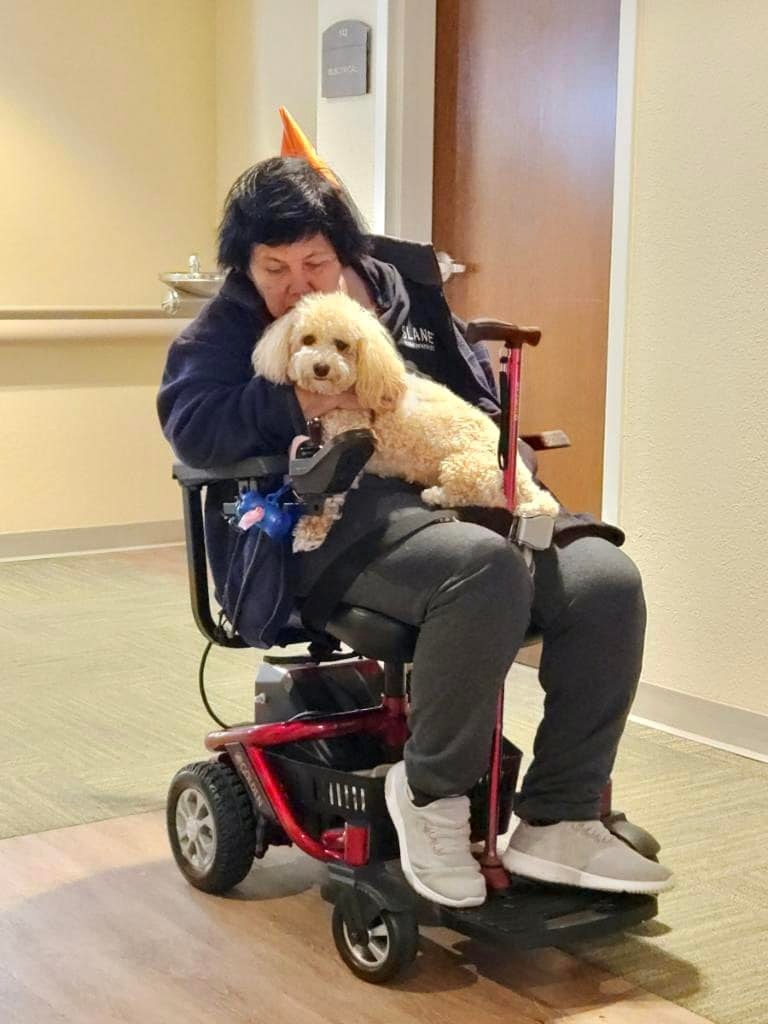 Doggy with resident in their motorized chair