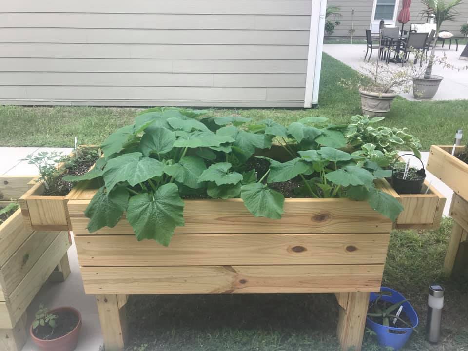 Things are growing at Twin Creeks