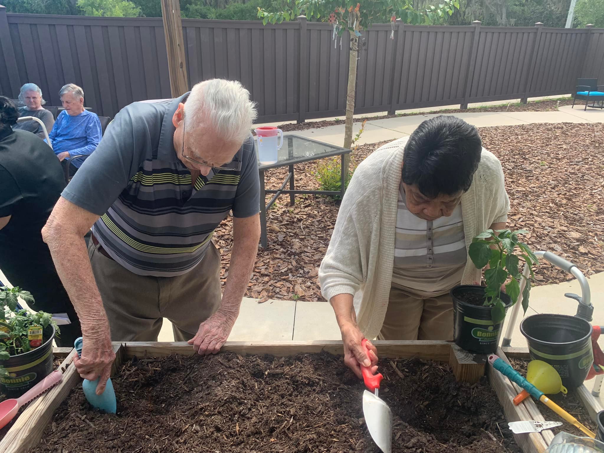 Senior residents gardening with trowels